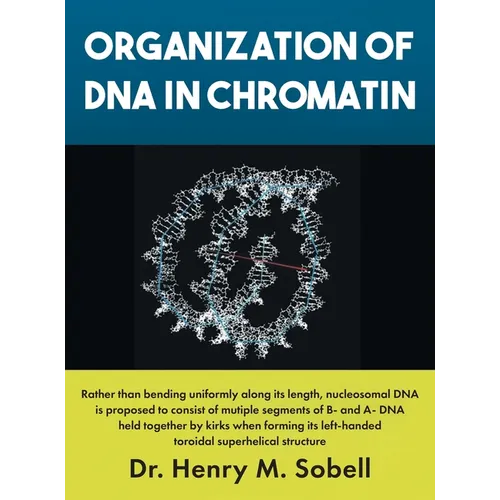 Organization of DNA in Chromatin