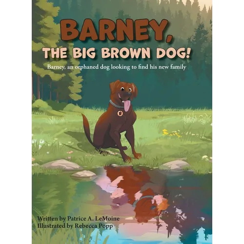 Barney, The Big Brown Dog!: Barney, an orphaned dog looking to find his new family