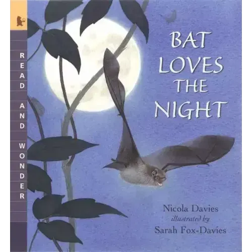 Bat Loves the Night