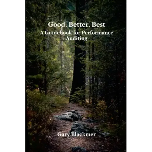 Good, Better, Best: A Guidebook for Performance Auditing