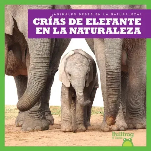 Crías de Elefante En La Naturaleza (Elephant Calves in the Wild)