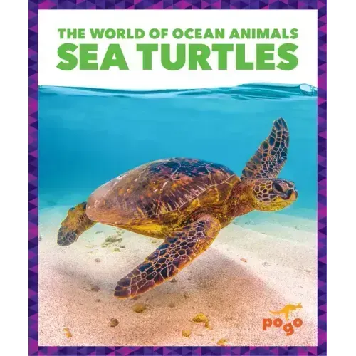 Sea Turtles