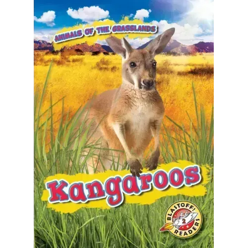Kangaroos