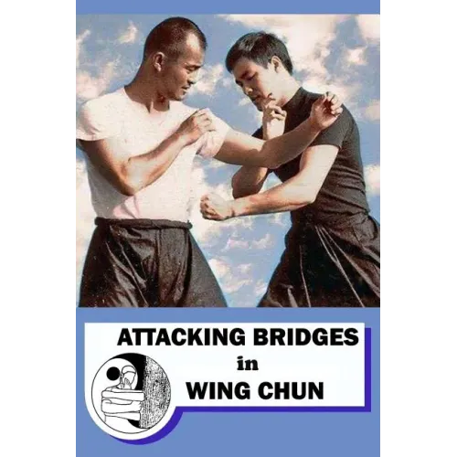 Attacking bridges in Wing Chun