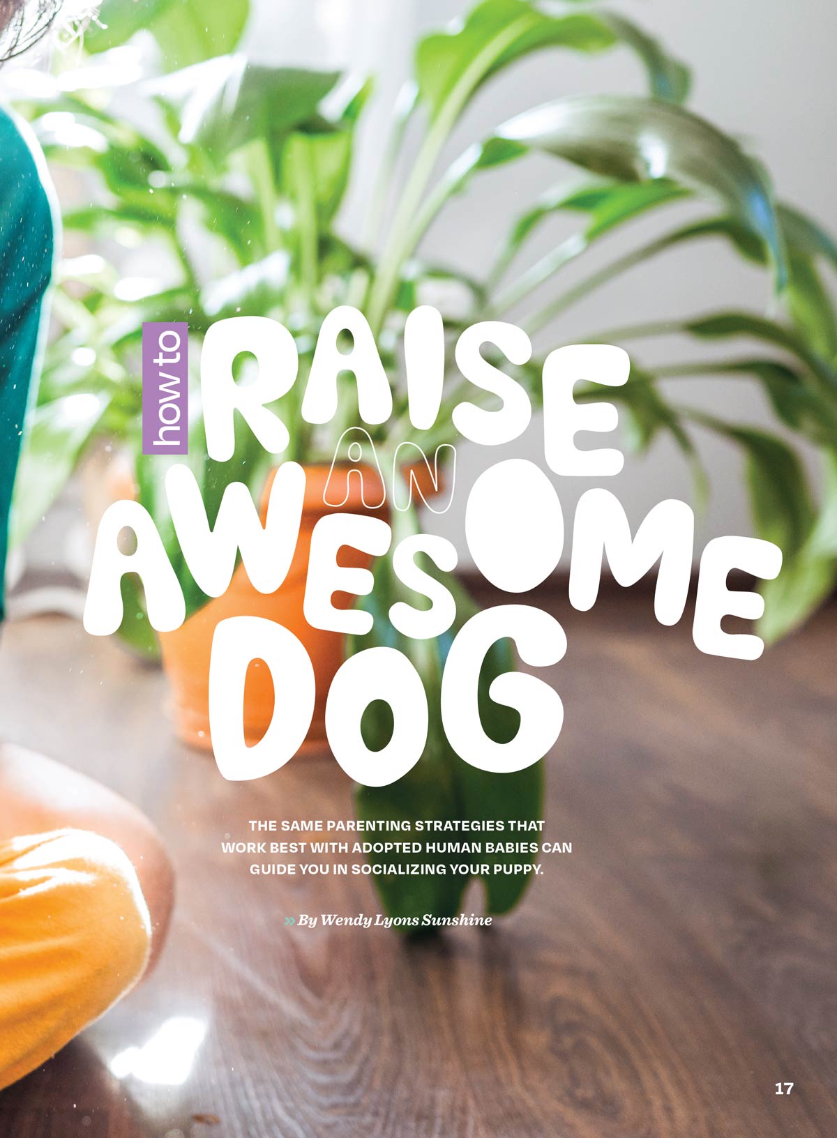 Inside Your Dog's Mind - The Happiness Issue: The Art Of Adventure & Play, Tips & Techniques To Fill Your Furry Friend's Lives With Joy, Playtime, Proper Nutrition, Return Gestures Of Love & More!