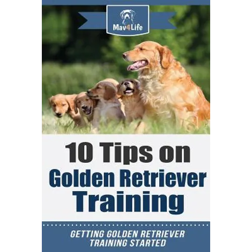 10 Tips on Golden Retriever Training: Getting Golden Retriever Training Started!