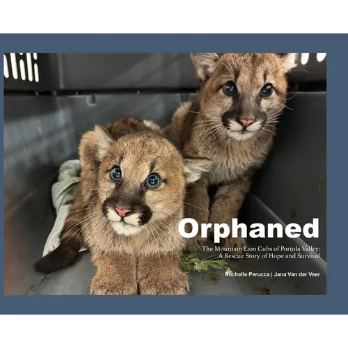 Orphaned: The Mountain Lion Cubs of Portola Valley: A Rescue Story of Hope and Survival