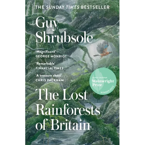 The Lost Rainforests of Britain