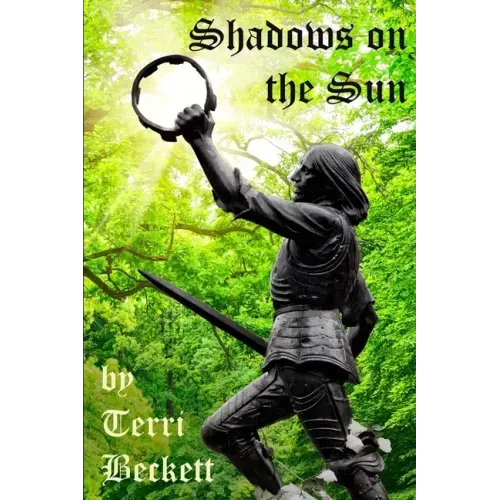 Shadows on the Sun