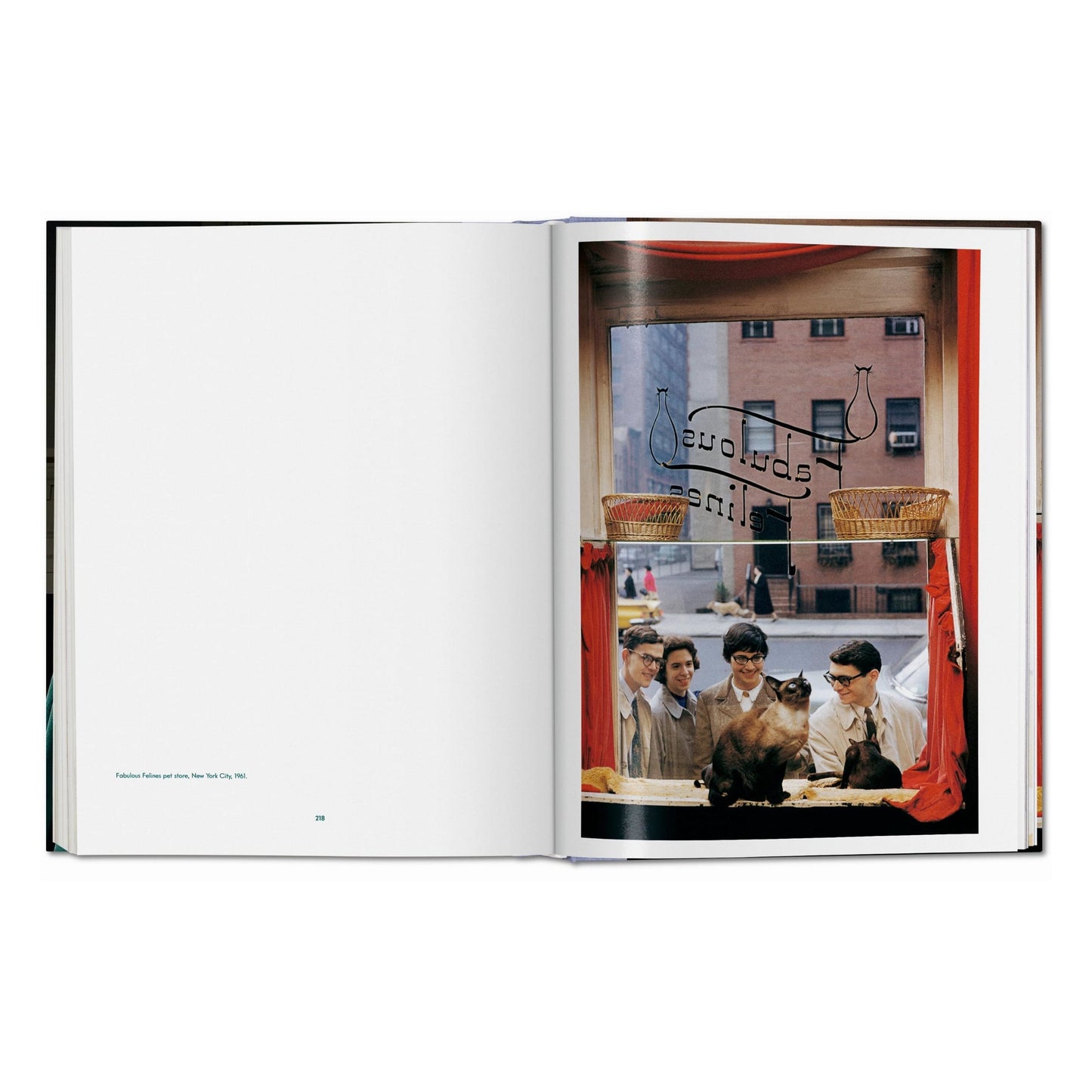 Walter Chandoha. Cats. Photographs 1942–2018 (German, French, English) Book