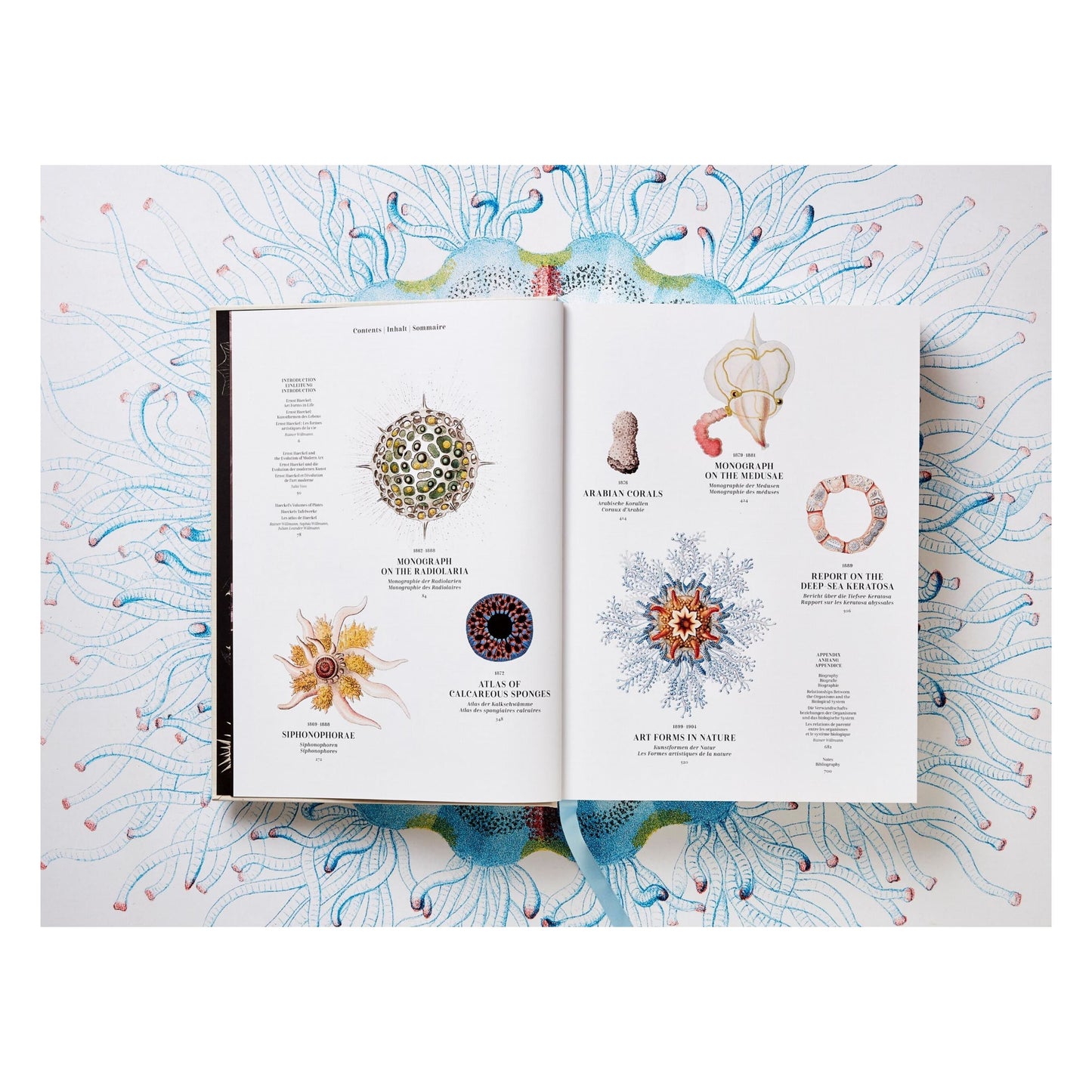 The Art and Science of Ernst Haeckel (German, French, English) Book