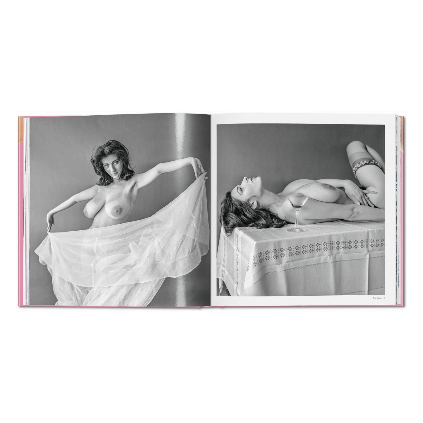 The Bigger Book of Breasts (English) Book