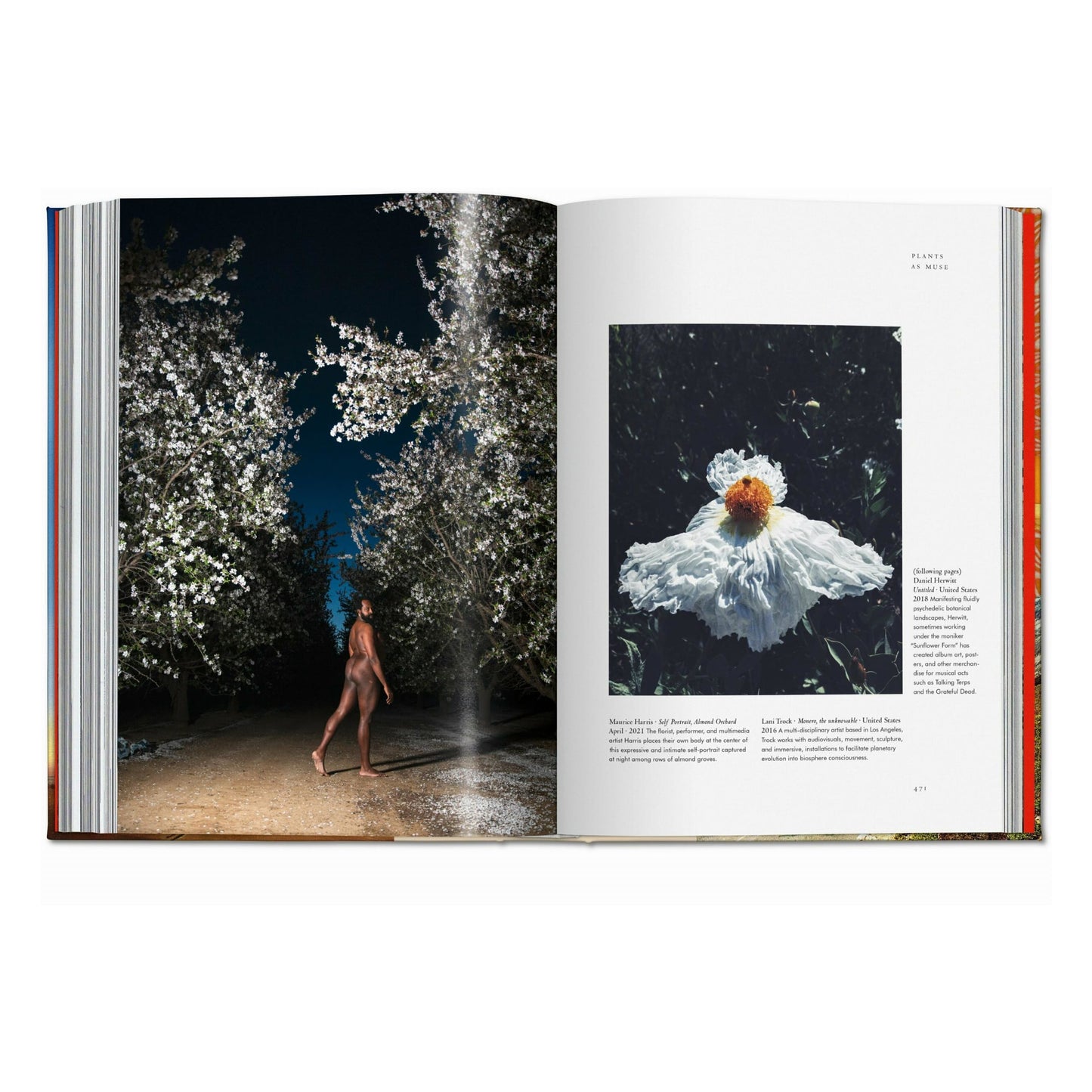 Plant Magick. The Library of Esoterica (English) Book