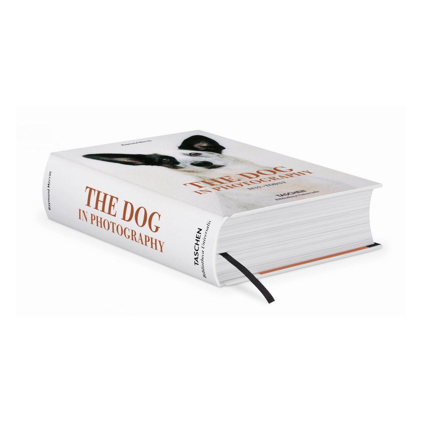 The Dog in Photography 1839–Today (German, French, English) Book
