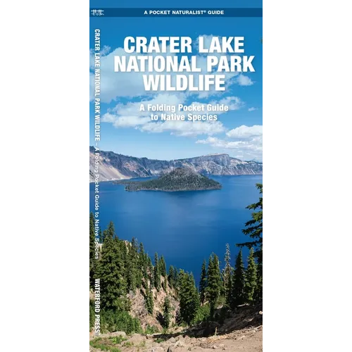 Crater Lake National Park Wildlife