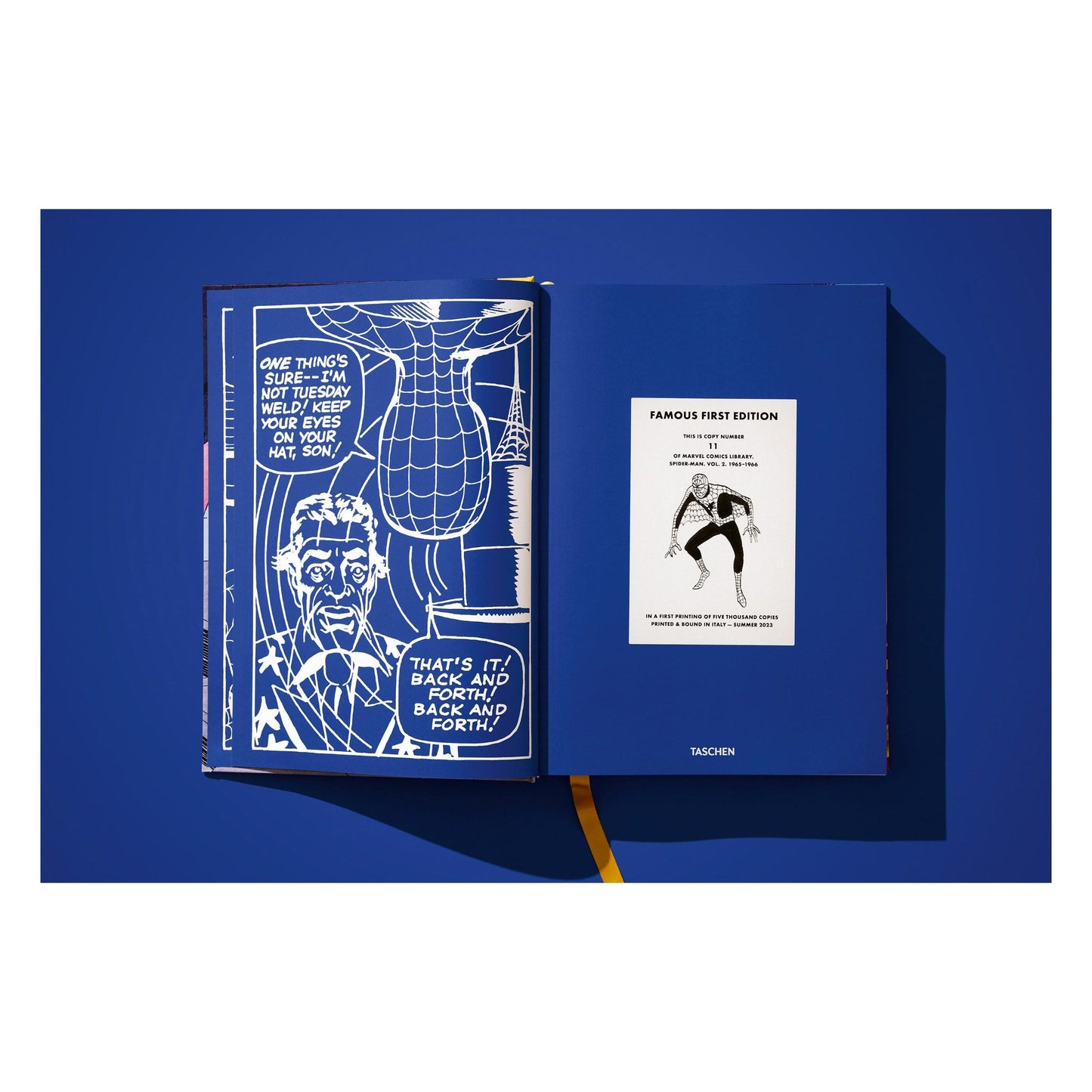 Marvel Comics Library. Spider-Man. Vol. 2. 1965–1966 (English) Book