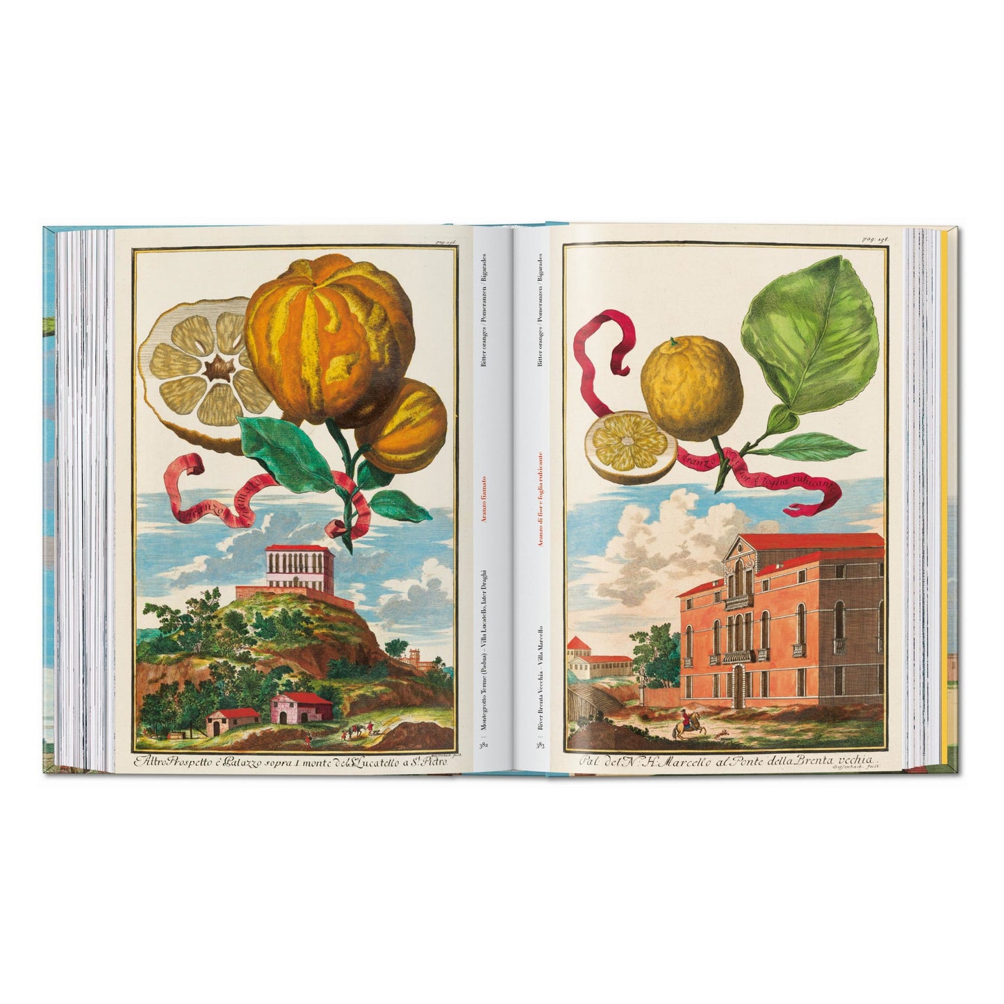 J. C. Volkamer. The Book of Citrus Fruits. 45th Ed. (German, French, English) Book