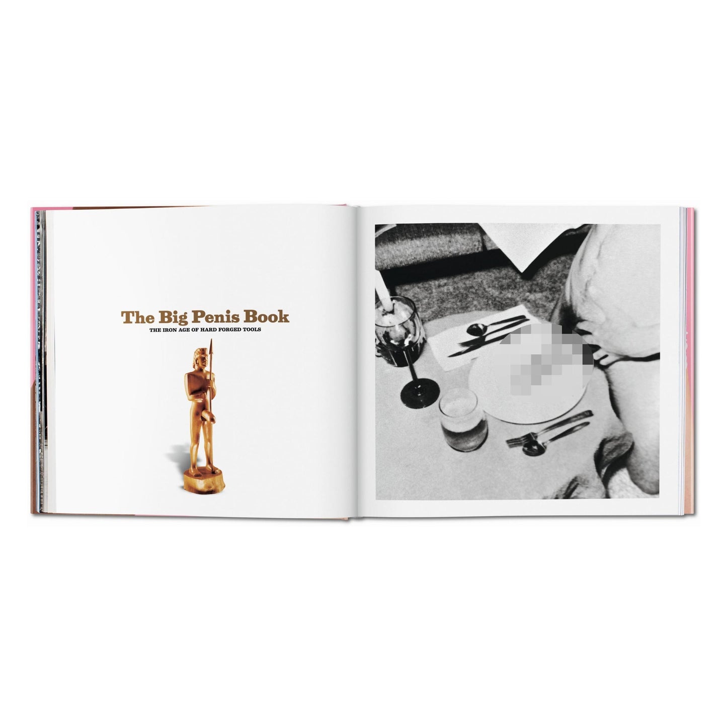 The Big Penis Book (German, French, English) Book