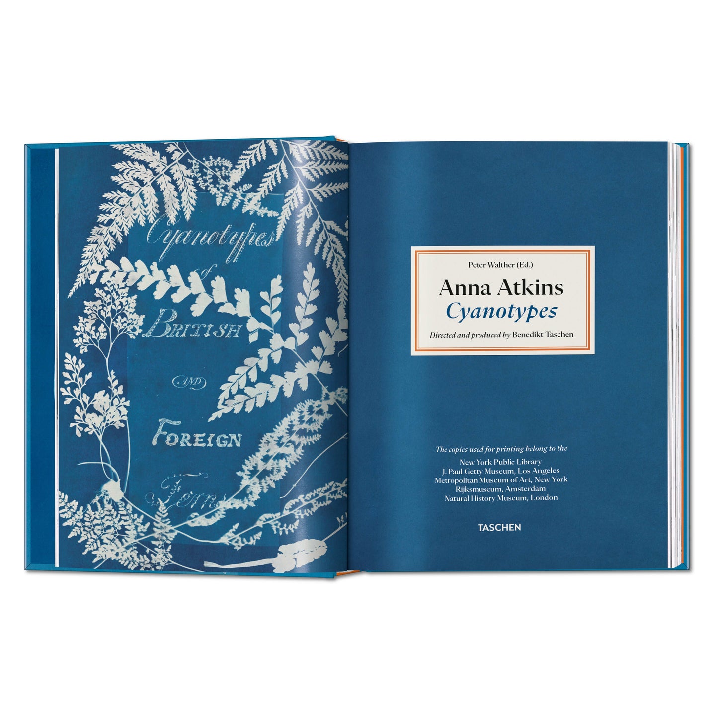 Anna Atkins. Cyanotypes. 45th Ed. (German, French, English) Book