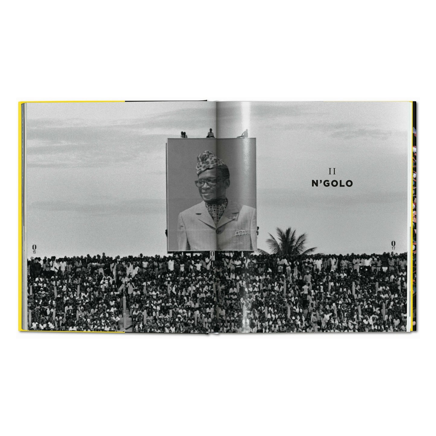 Norman Mailer. Neil Leifer. Howard L. Bingham. The Fight (English) Book