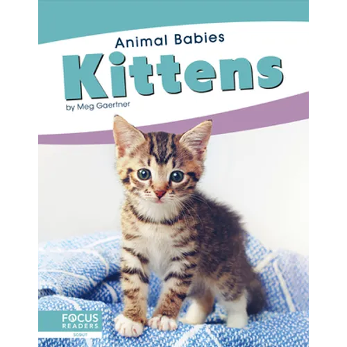 Kittens