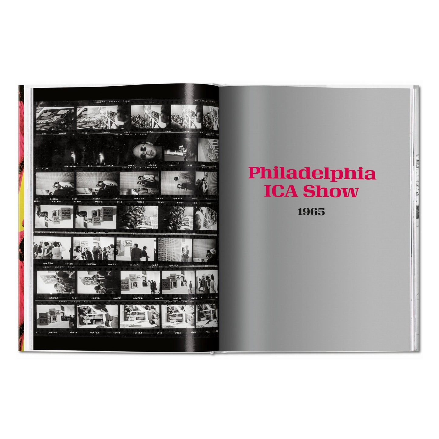 Steve Schapiro. Andy Warhol and Friends (English) Book
