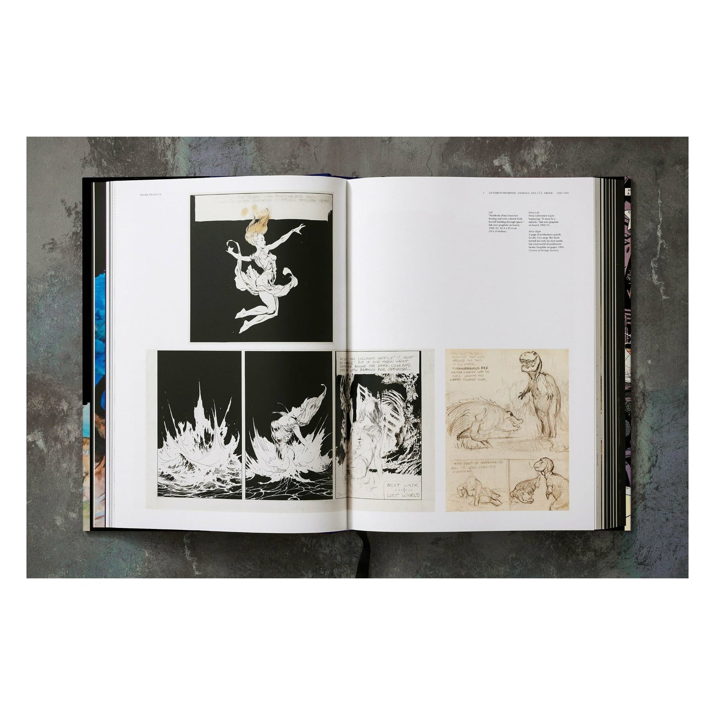 The Fantastic Worlds of Frank Frazetta (German, French, English) Book