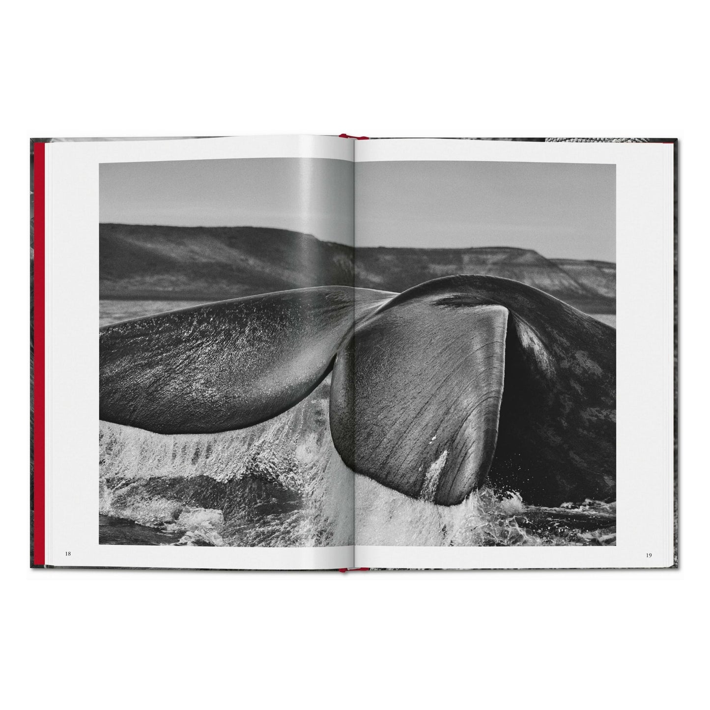 Sebastião Salgado. Genesis (English) Book