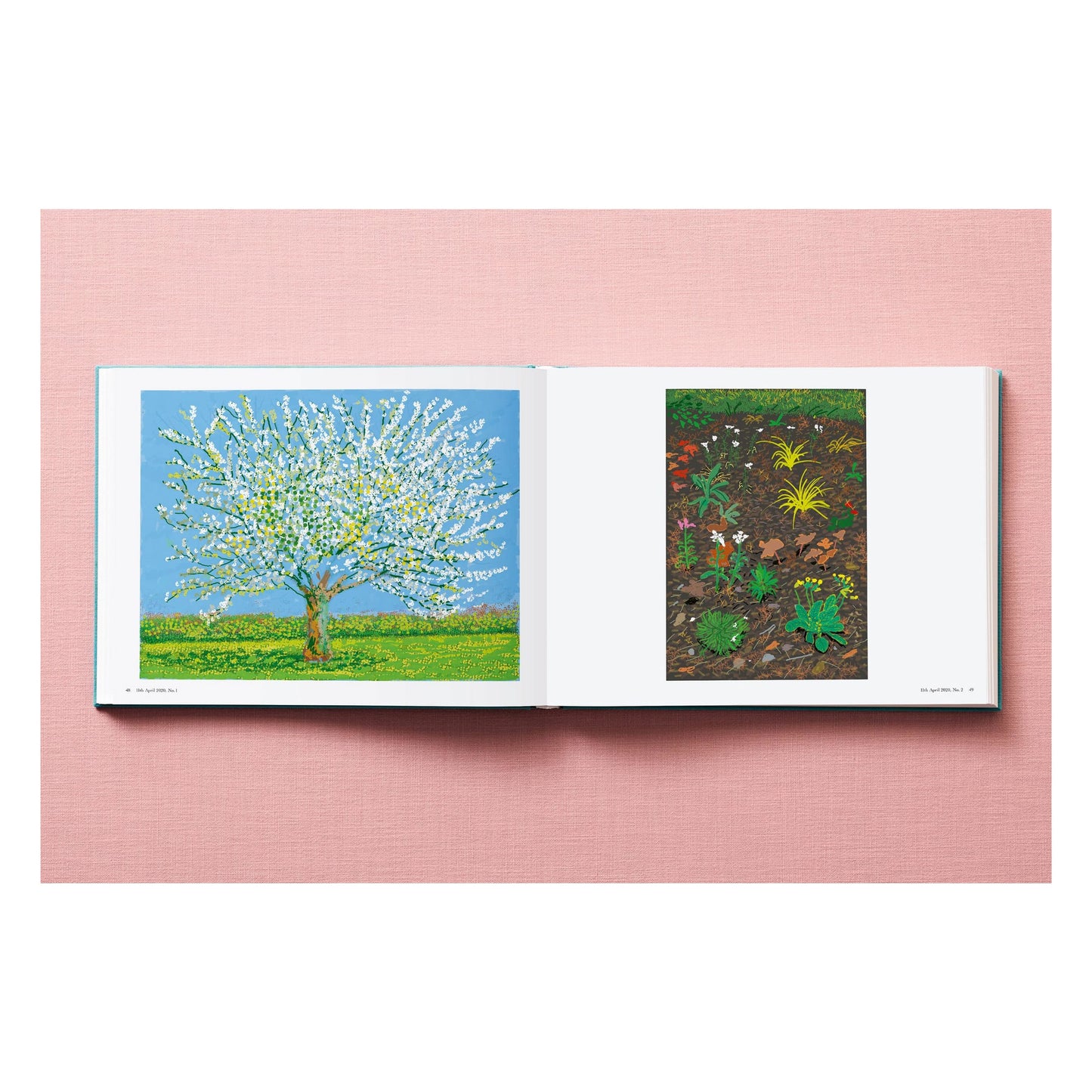 David Hockney. 220 for 2020 (English) Book