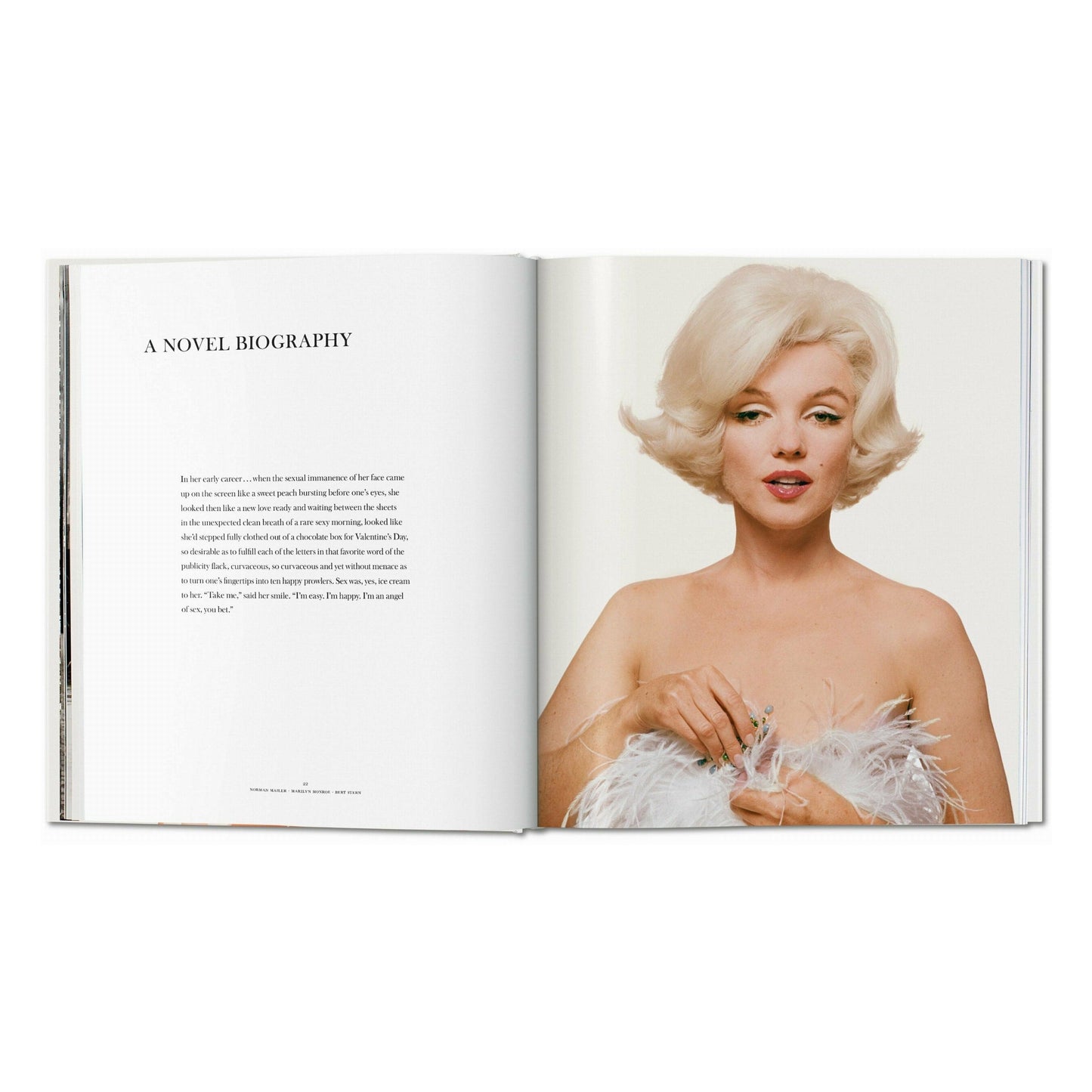 Norman Mailer. Bert Stern. Marilyn Monroe (English) Book