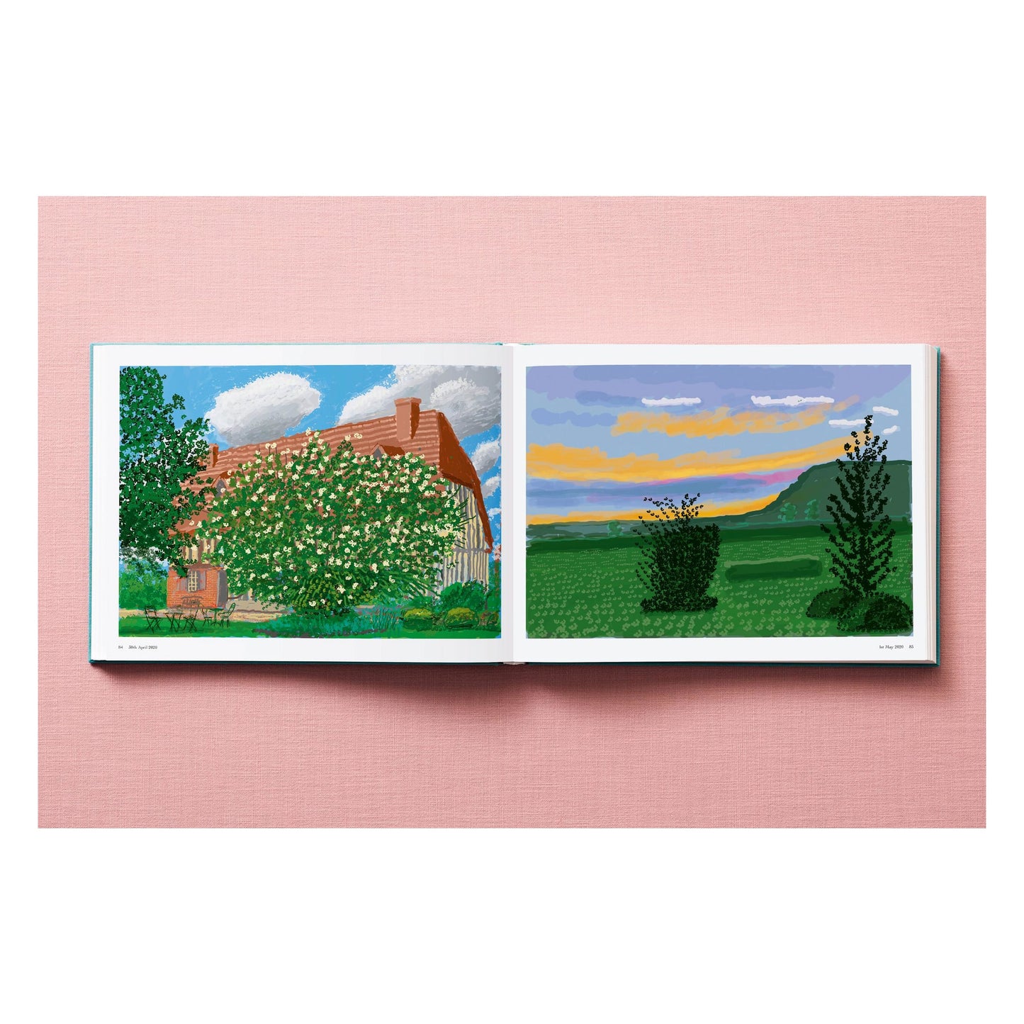 David Hockney. 220 for 2020 (English) Book