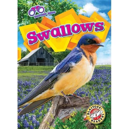 Swallows