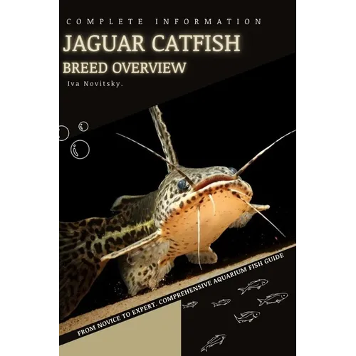Jaguar Catfish: From Novice to Expert. Comprehensive Aquarium Fish Guide