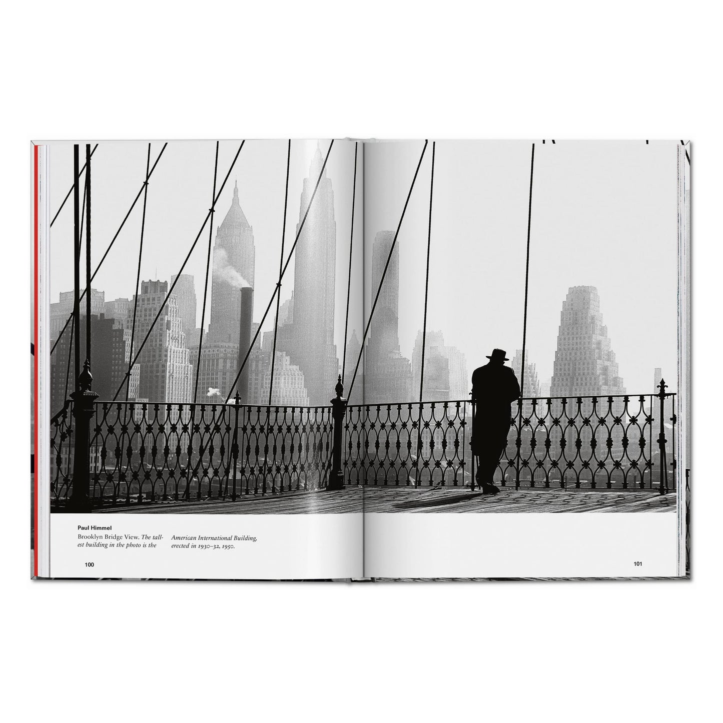 New York. Portrait of a City (English) Book