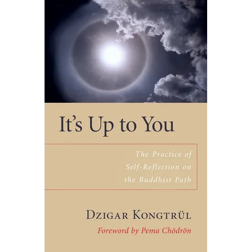 It's Up to You: The Practice of Self-Reflection on the Buddhist Path