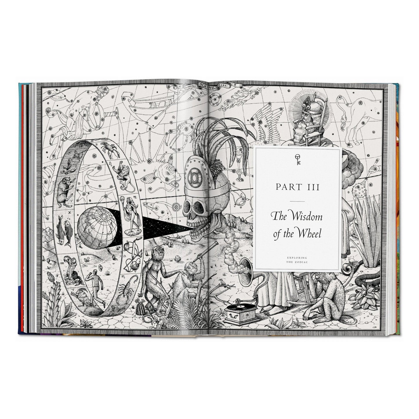 Astrology. The Library of Esoterica (English) Book