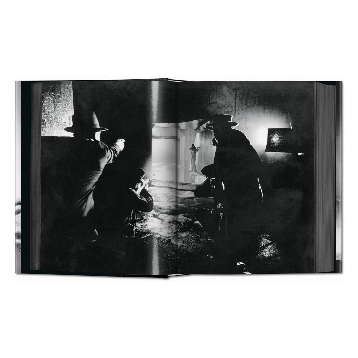Film Noir (English) Book