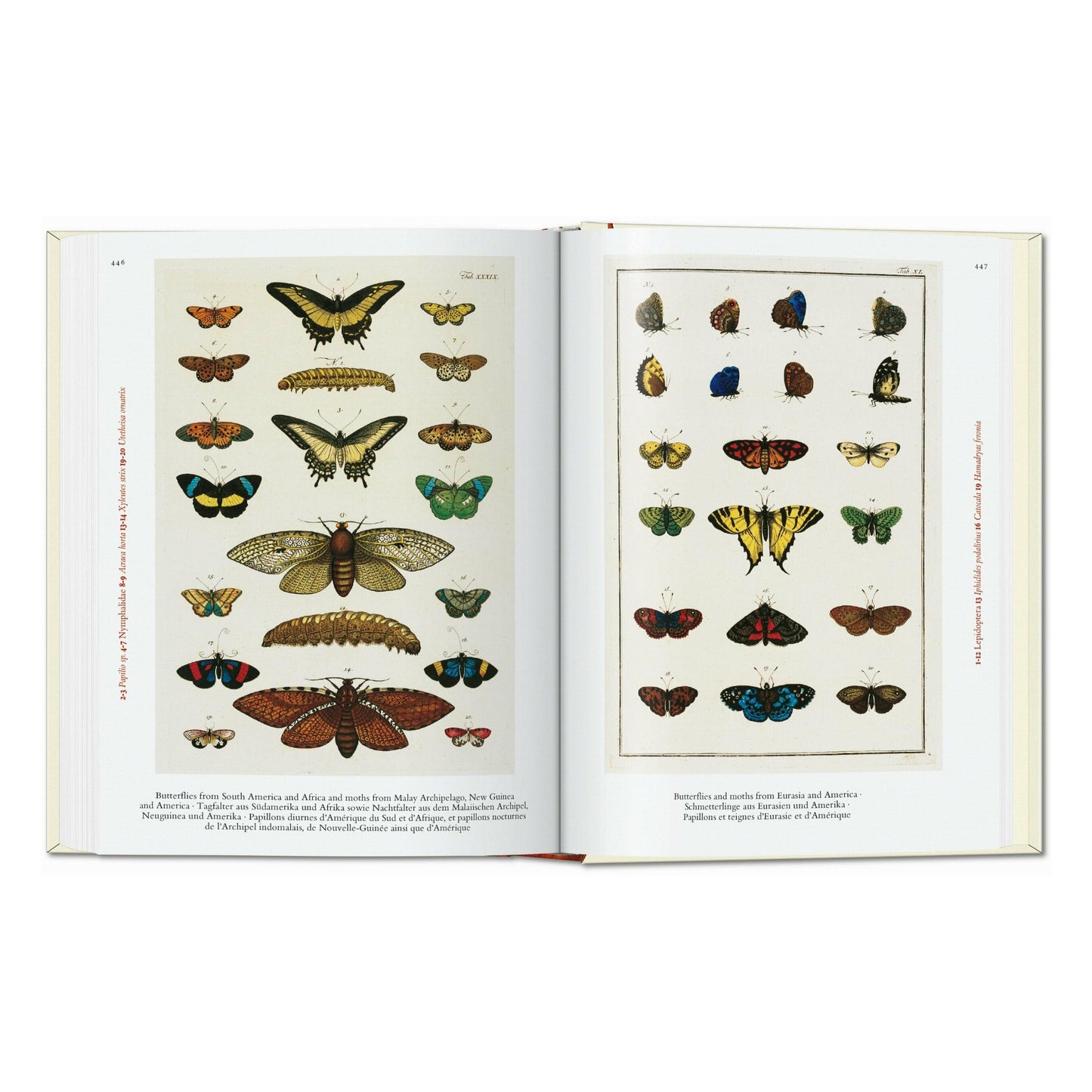 Seba. Cabinet of Natural Curiosities. 45th Ed. (German, French, English) Book