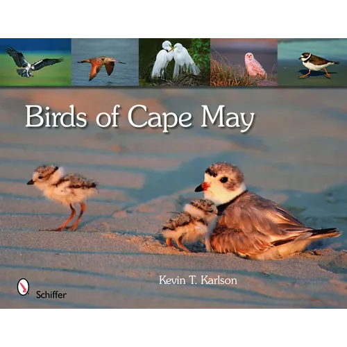 Birds of Cape May
