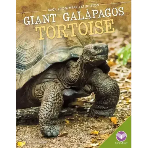 Giant Galбpagos Tortoise