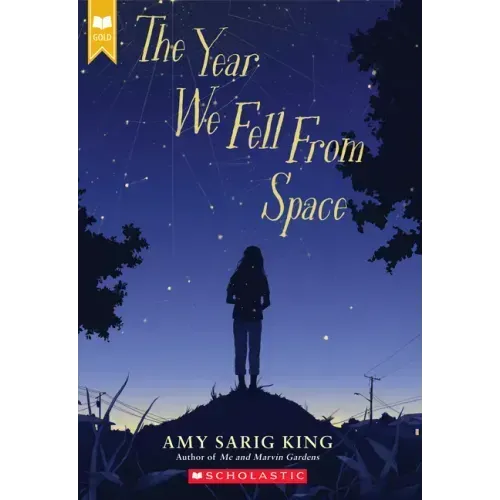 The Year We Fell from Space (Scholastic Gold)