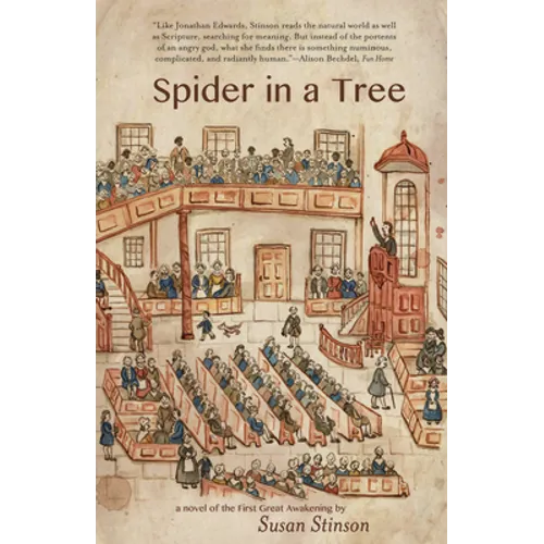 Spider in a Tree