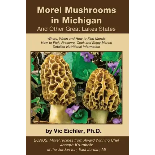 Morel Mushrooms in Michigan And Other Great Lakes States