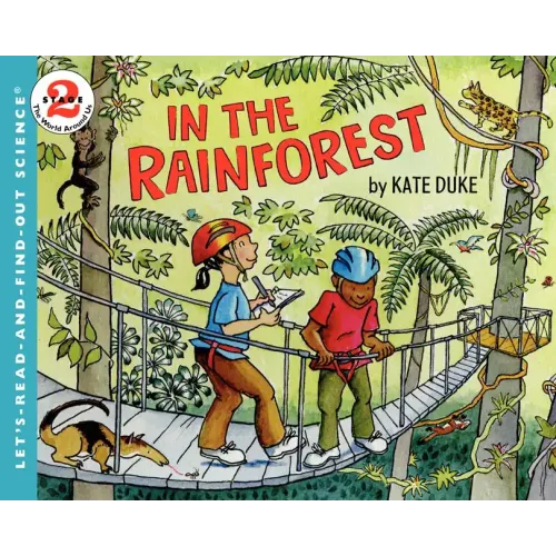 In the Rainforest