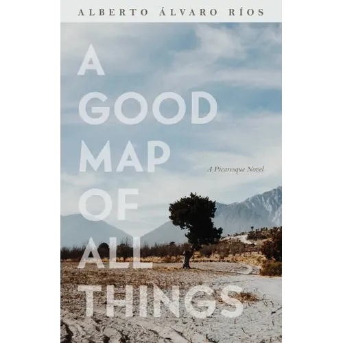 A Good Map of All Things: A Picaresque Novel