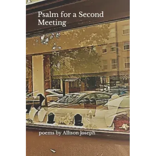 Psalm for a Second Meeting