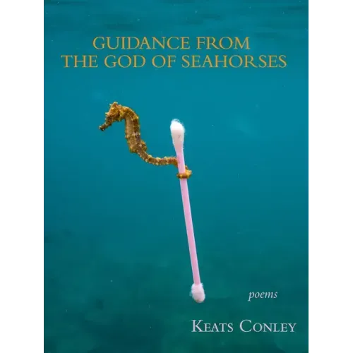 Guidance from the God of Seahorses