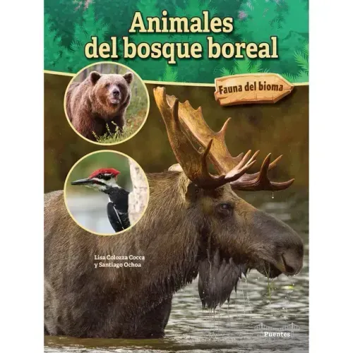 Animales del Bosque Boreal: Boreal Forest Animals