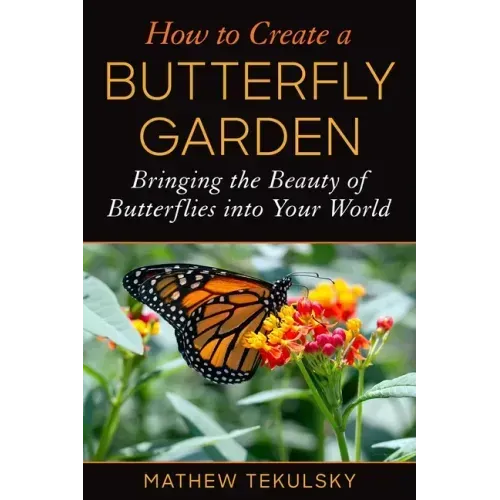 How to Create a Butterfly Garden: Bringing the Beauty of Butterflies Into Your World