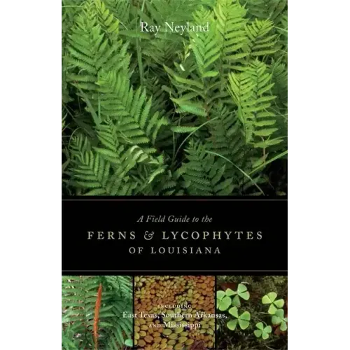 A Field Guide to the Ferns and Lycophytes of Louisiana